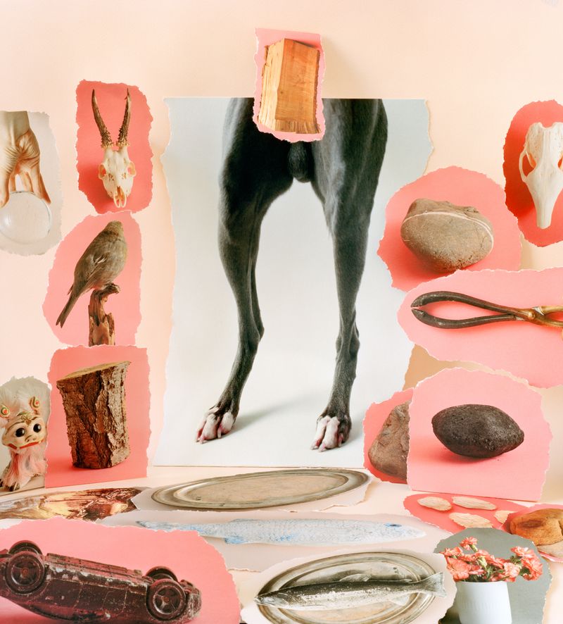 © Sylwia Kowalczyk - Image from the Metamorphoses photography project
