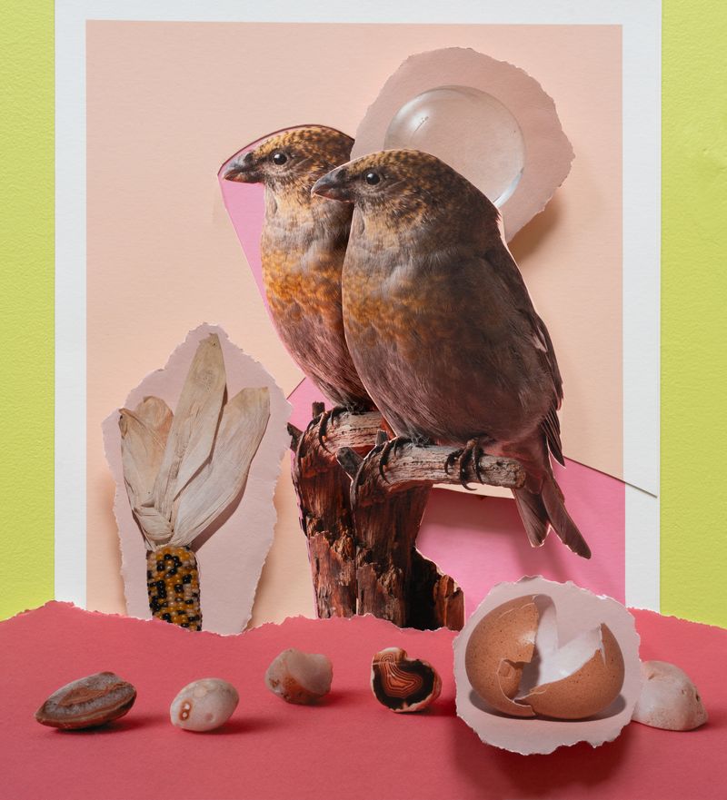 © Sylwia Kowalczyk - Image from the Metamorphoses photography project