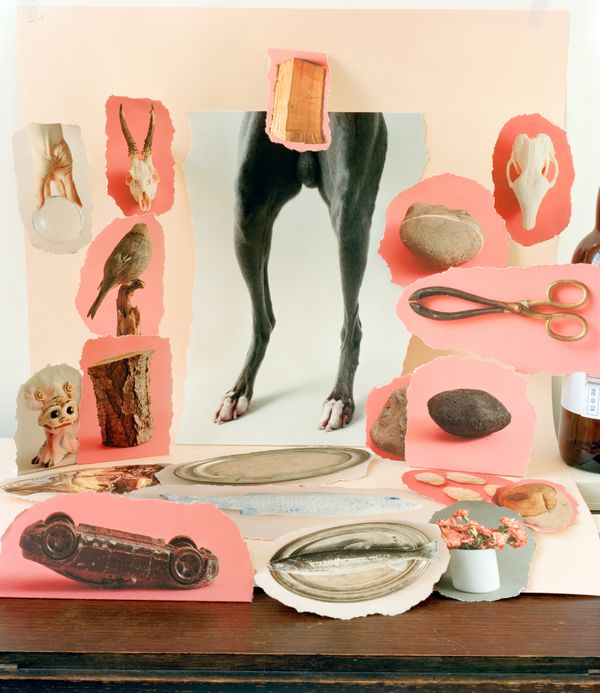 © Sylwia Kowalczyk - Image from the Metamorphoses photography project