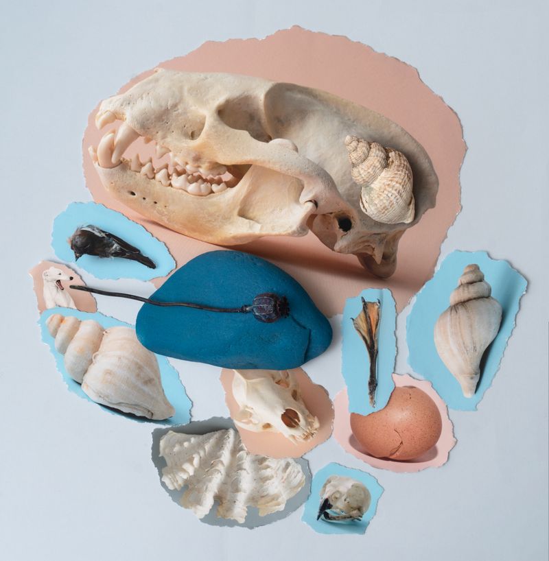 © Sylwia Kowalczyk - Image from the Metamorphoses photography project