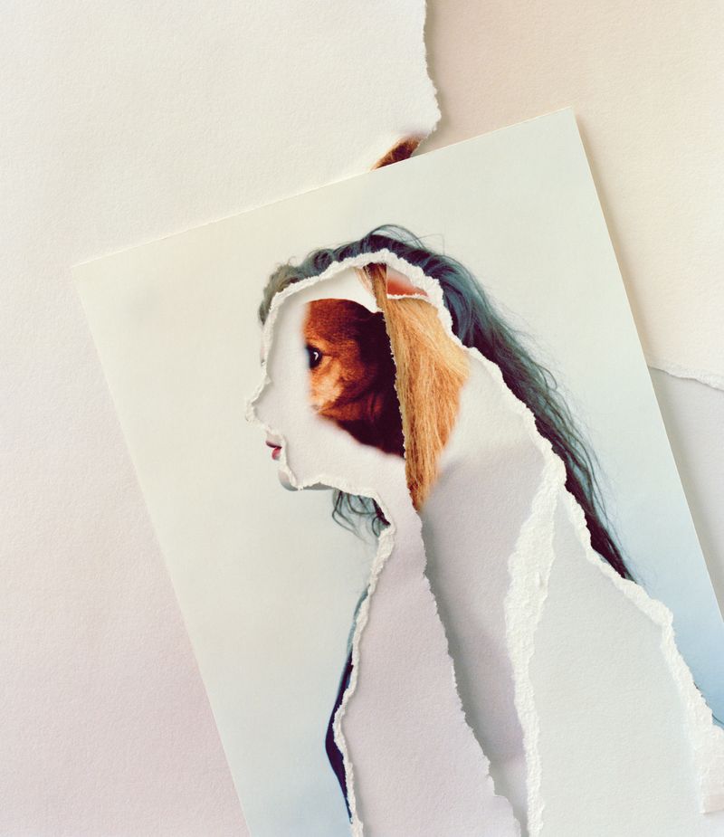 © Sylwia Kowalczyk - Image from the Metamorphoses photography project