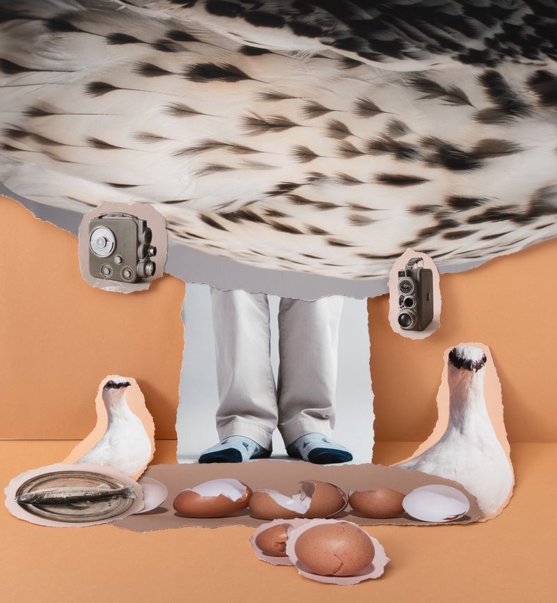 © Sylwia Kowalczyk - Image from the Metamorphoses photography project