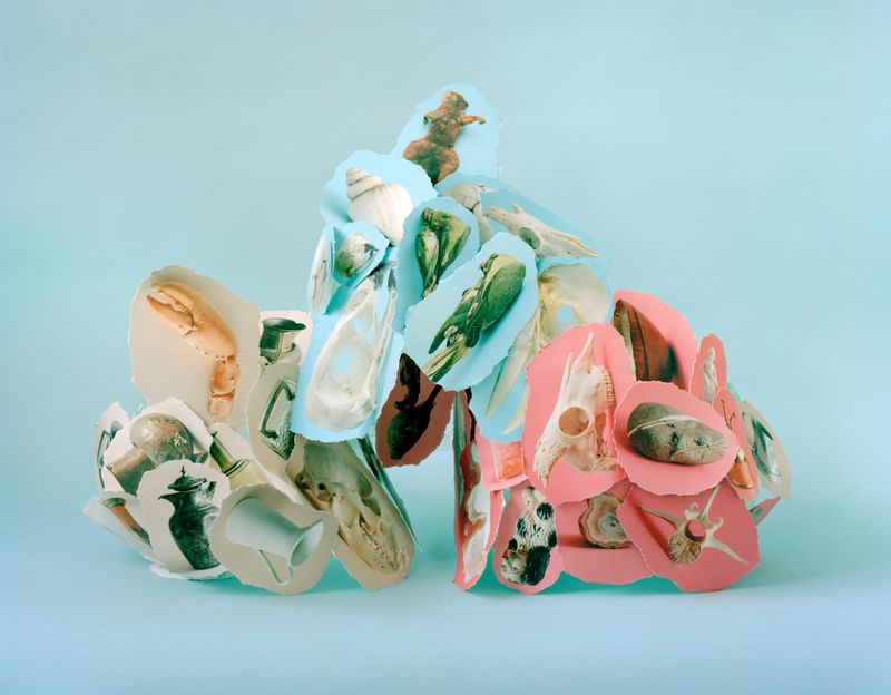 © Sylwia Kowalczyk - Image from the Metamorphoses photography project