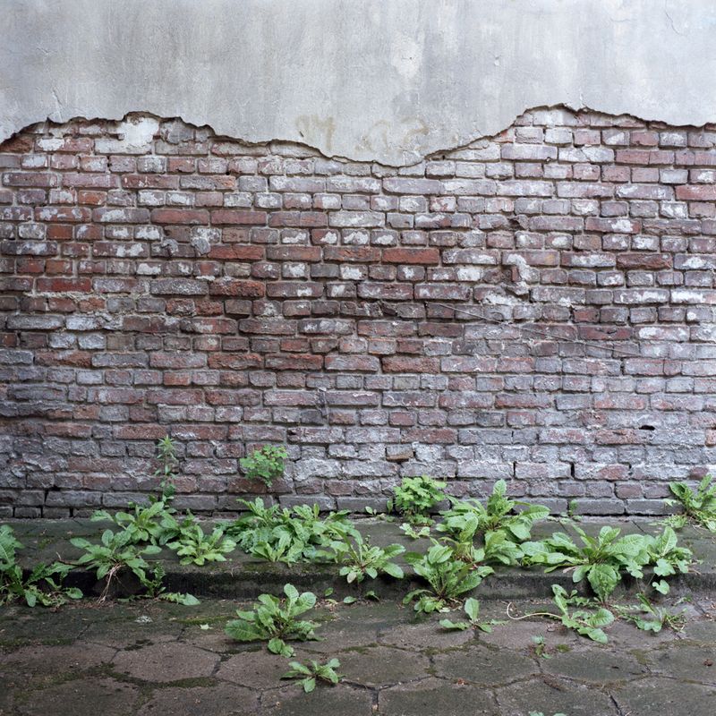 © Alena Kakhanovich - Image from the THE WALL photography project