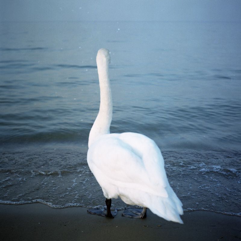 © Alena Kakhanovich - Image from the THE WALL photography project