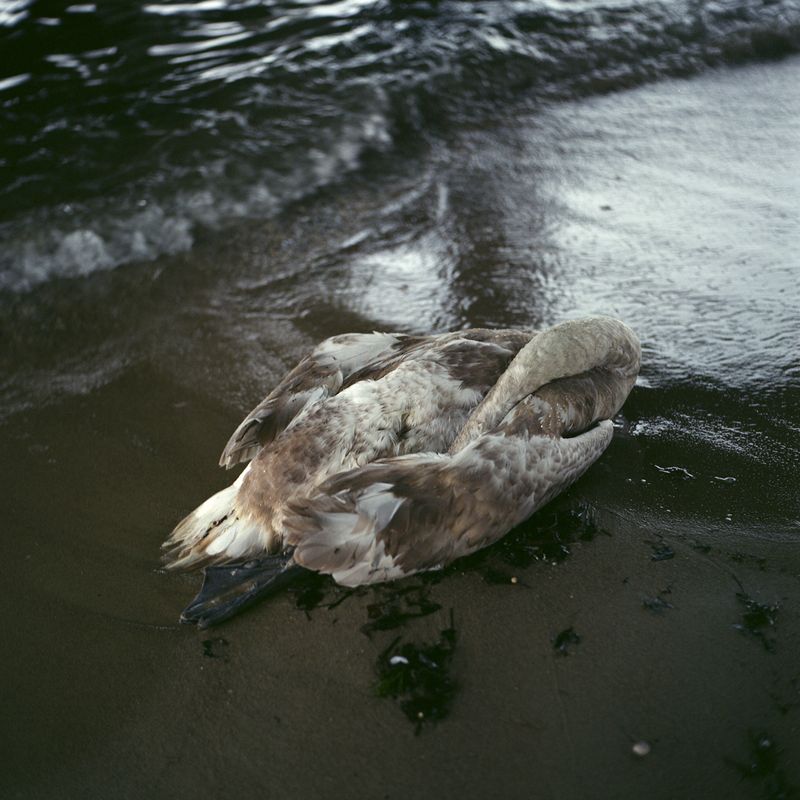 © Alena Kakhanovich - Image from the THE WALL photography project