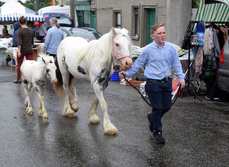 © Heather Cody - Come on Baby