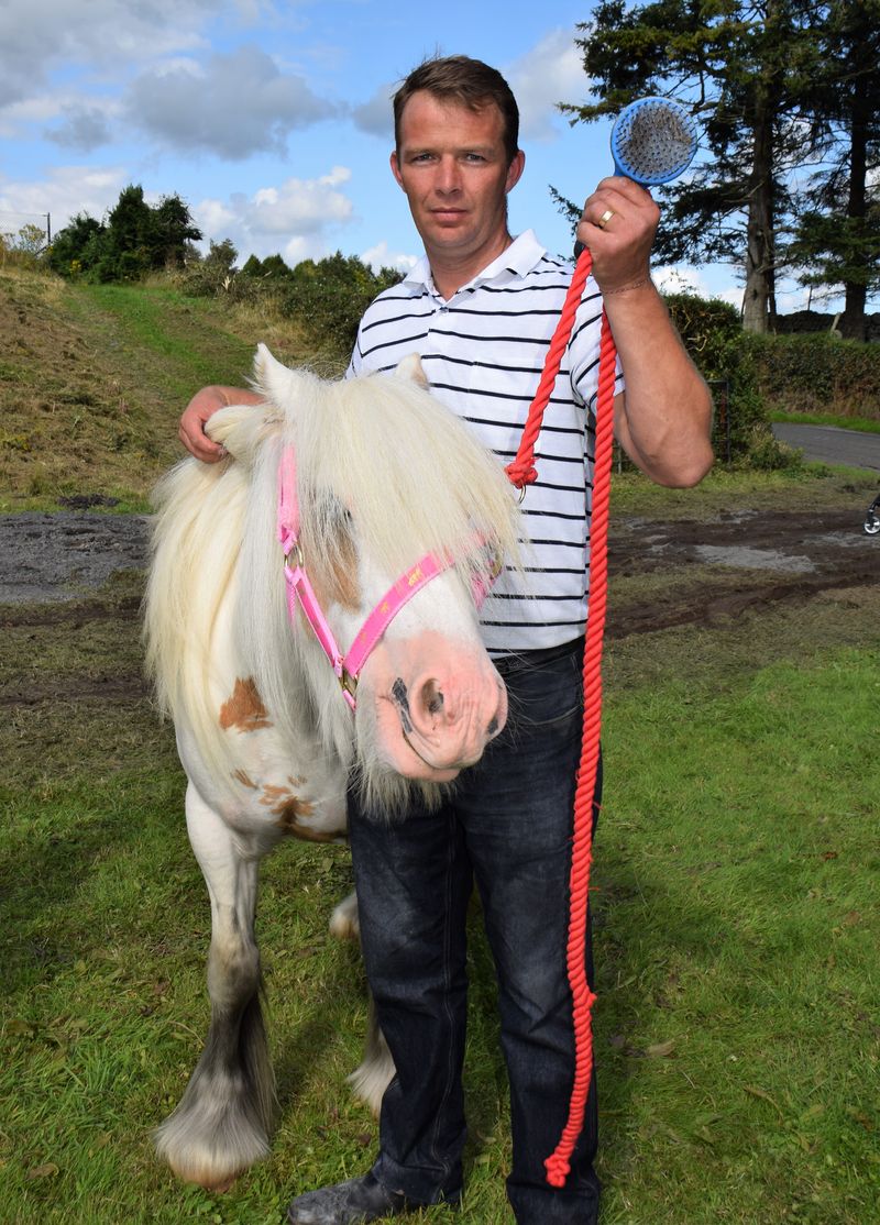 © Heather Cody - This is My Pet