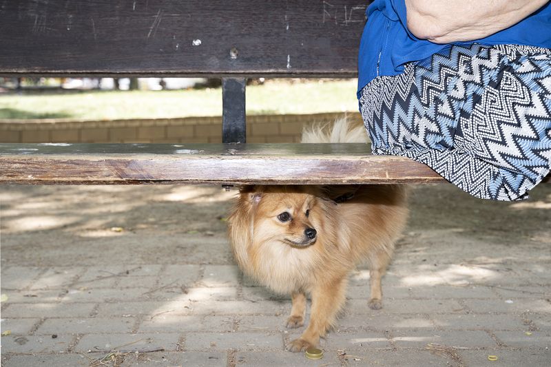 © Manuela Lorente - 14_Streets of her local neighbourhood.