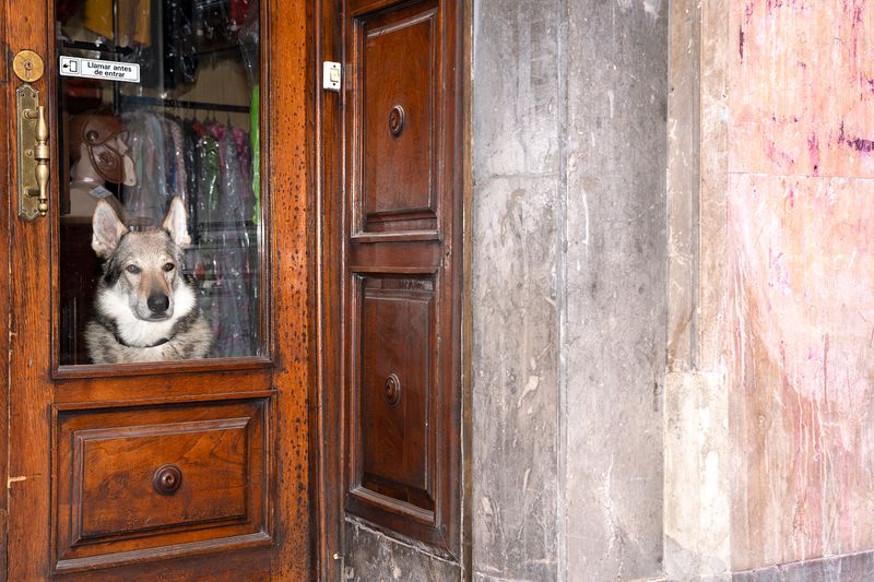 © Manuela Lorente - Image from the HE PLAYS THE MUSIC, WE DANCE photography project