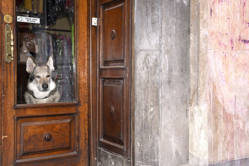 © Manuela Lorente - 10_Benigno women's costume shop. - You don't answer the phone. - That's already an answer, don't you think?