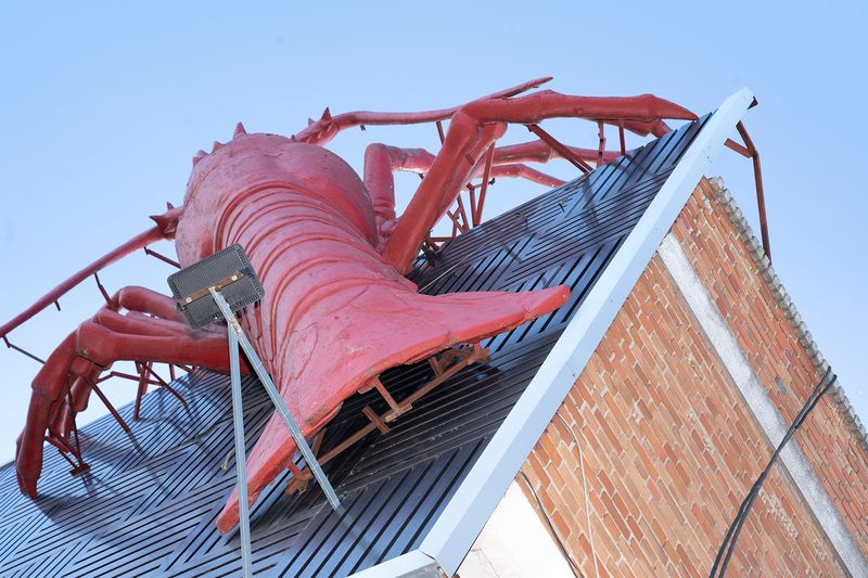 © Manuela Lorente - 11_Stop on the way to Galicia