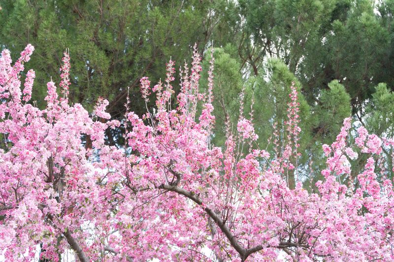 © Manuela Lorente - Image from the ¡WHAT A LAUGH, THEY ALL CRY! photography project