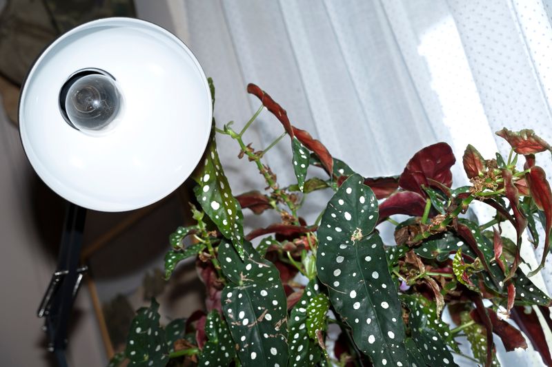 © Manuela Lorente - Image from the ¡WHAT A LAUGH, THEY ALL CRY! photography project