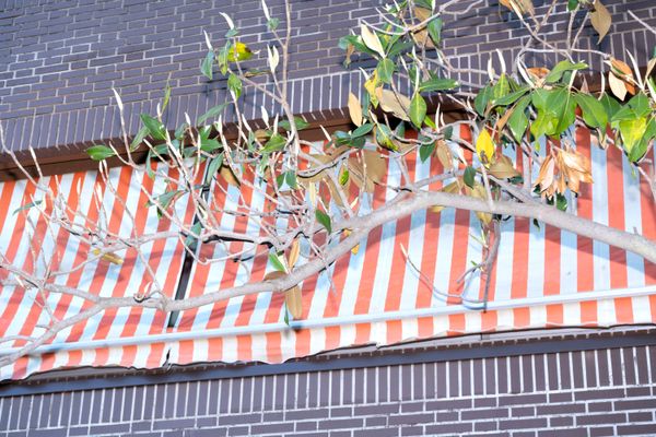 © Manuela Lorente - Image from the ¡WHAT A LAUGH, THEY ALL CRY! photography project