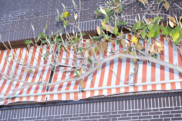 © Manuela Lorente - Image from the ¡WHAT A LAUGH, THEY ALL CRY! photography project