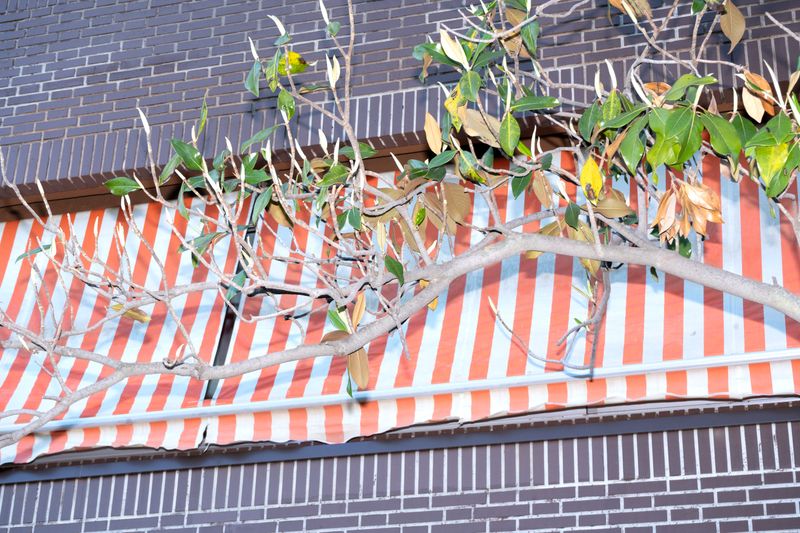 © Manuela Lorente - Image from the ¡WHAT A LAUGH, THEY ALL CRY! photography project