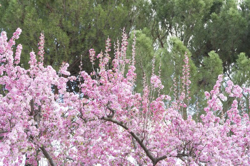 © Manuela Lorente - Image from the ¡WHAT A LAUGH, THEY ALL CRY! photography project