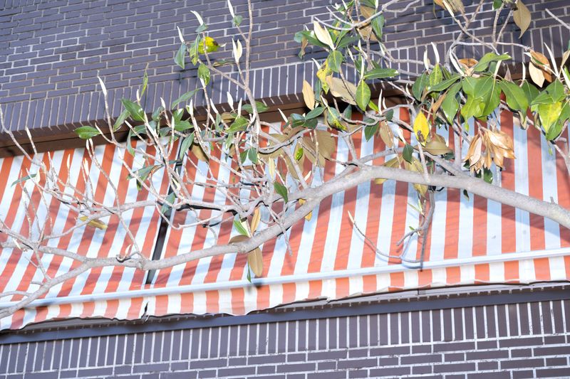 © Manuela Lorente - Image from the ¡WHAT A LAUGH, THEY ALL CRY! photography project