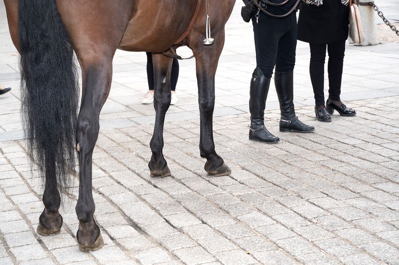 © Manuela Lorente - 21_Police control.