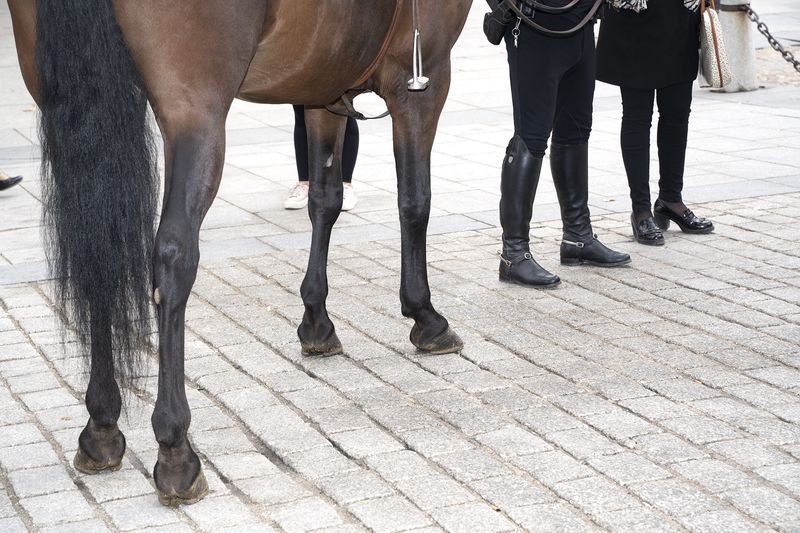 © Manuela Lorente - 21_Police control.