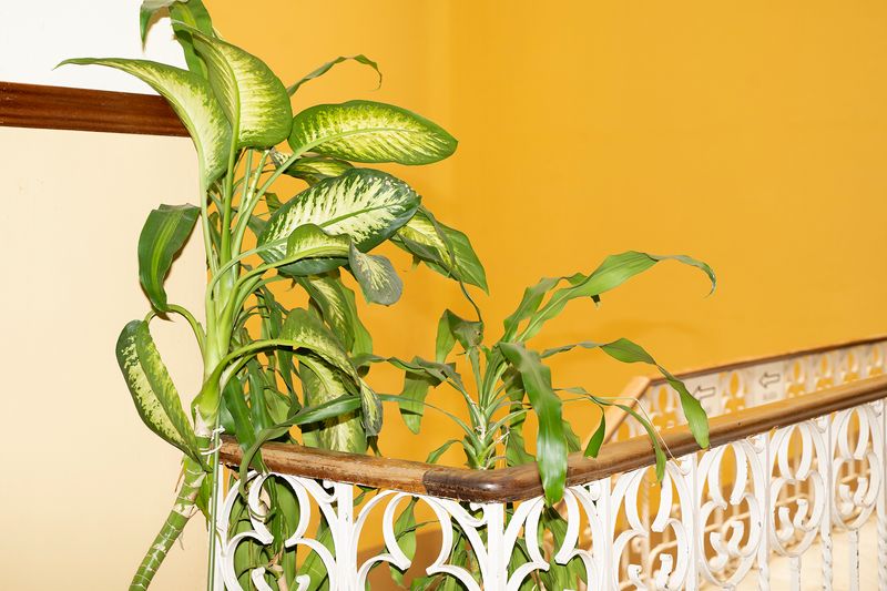 © Manuela Lorente - 8_Neighborhood church interior.