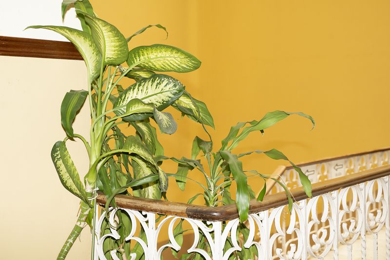 © Manuela Lorente - 8_Neighborhood church interior.