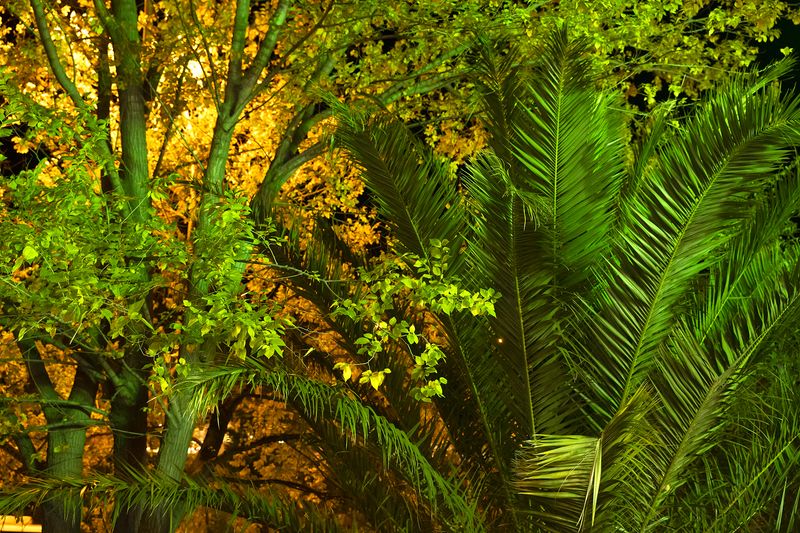 © Manuela Lorente - 10_Exterior at night under “Torres Blancas” building. - They don't name us in the will... - What are we going to do?