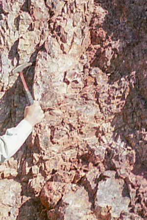 A Secret Shines Metal