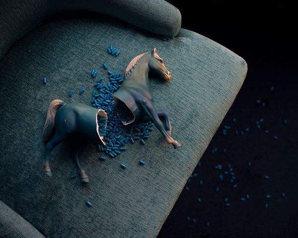 © Heather Evans Smith - Veneer