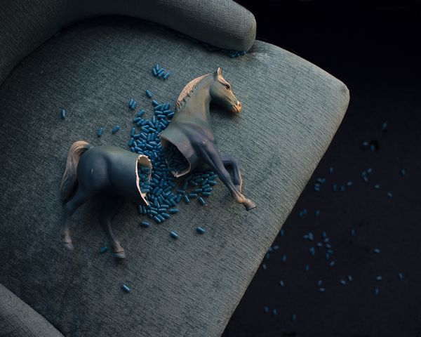 © Heather Evans Smith - Veneer