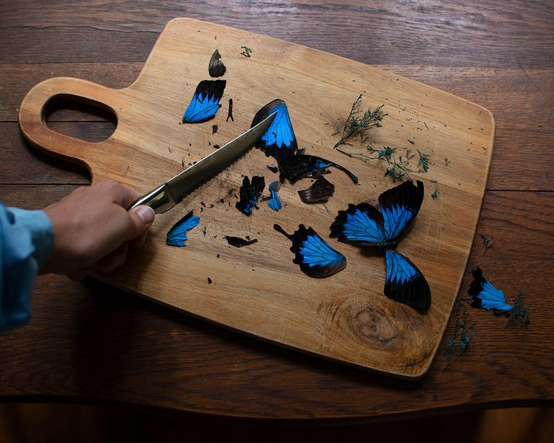 © Heather Evans Smith - Until There Is Little Left