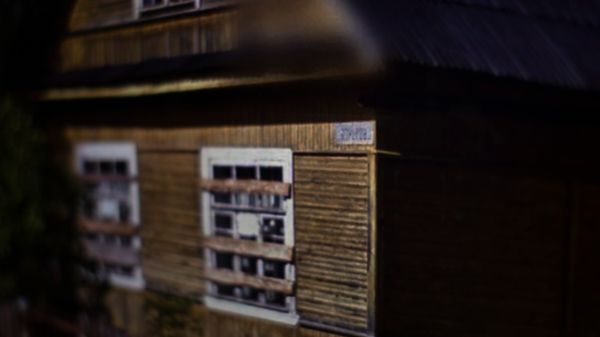 © Saara Tuominen - Image from the The tree of knowledge is not that of life photography project