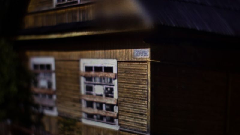 © Saara Tuominen - Image from the The tree of knowledge is not that of life photography project