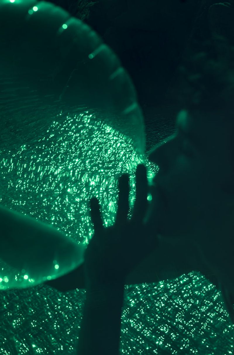 © Alice Pallot - Algues maudites, a sea of tears, green oxygen, 2022