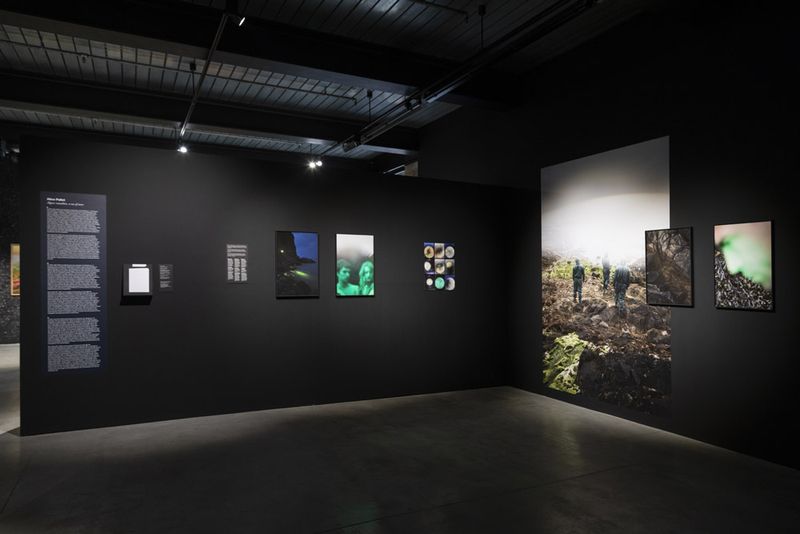 © Alice Pallot - Algues maudites, a sea of tears, Echoes of tomorrow, Hangar, Brussels, june 2023