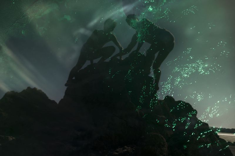 © Alice Pallot - Algues maudites, a sea of tears, view from a green algae, 2022