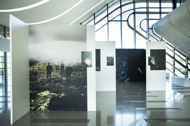 © Alice Pallot - Algues maudites, a sea of tears, solo show, Festival Les Boutographies, Montpellier (France), may 2023