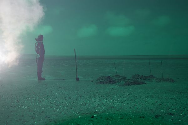 © Alice Pallot - Algues maudites, a sea of tears, report, 2022