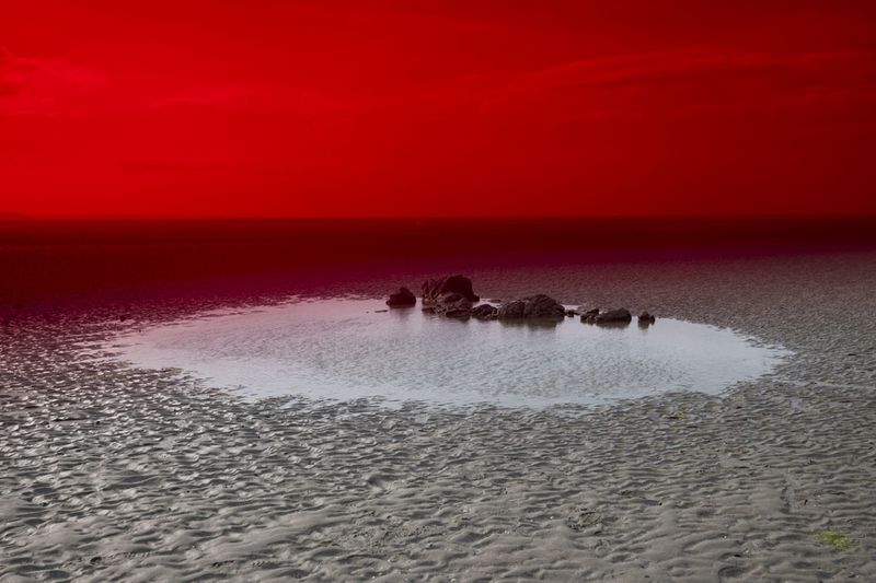 © Alice Pallot - Algues maudites, a sea of tears, barren beach, 2022