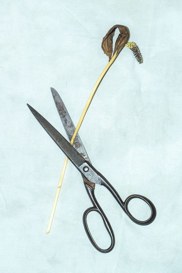 © Ramiro Flores Beltrán - Image from the El paraíso es cuando algo esta roto-Paradise is when something is broken photography project