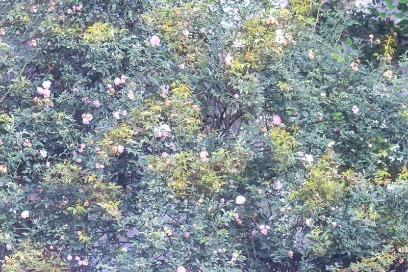 © Ramiro Flores Beltrán - Image from the El paraíso es cuando algo esta roto-Paradise is when something is broken photography project