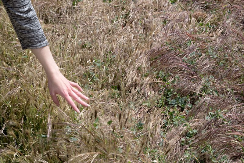 © Ramiro Flores Beltrán - Image from the El paraíso es cuando algo esta roto-Paradise is when something is broken photography project