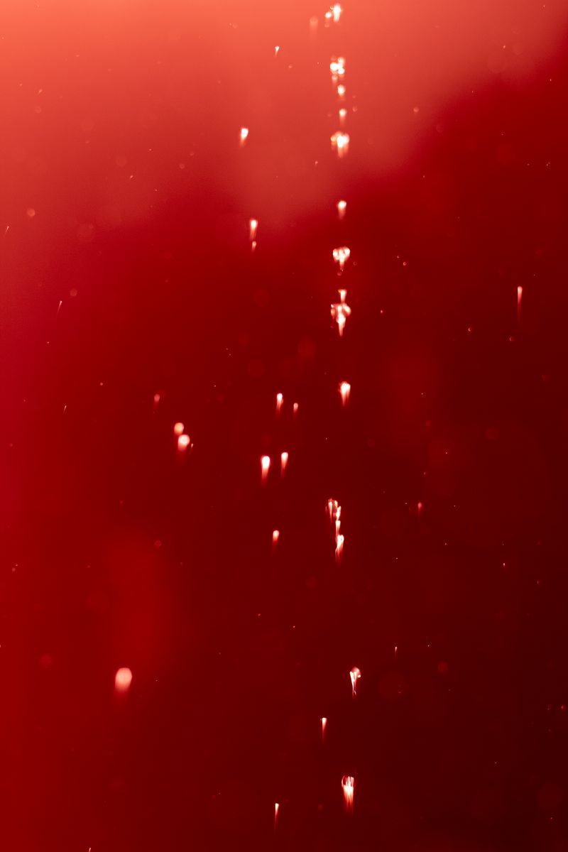 © Ramiro Flores Beltrán - Image from the El paraíso es cuando algo esta roto-Paradise is when something is broken photography project