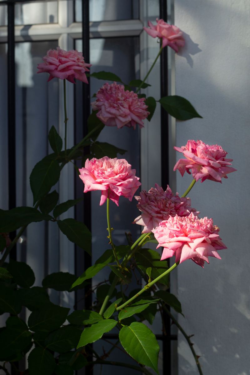 © Ramiro Flores Beltrán - Image from the El paraíso es cuando algo esta roto-Paradise is when something is broken photography project