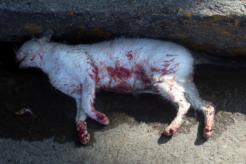 © Ramiro Flores Beltrán - Image from the El paraíso es cuando algo esta roto-Paradise is when something is broken photography project