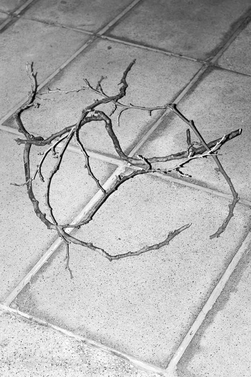 © Ramiro Flores Beltrán - Image from the El paraíso es cuando algo esta roto-Paradise is when something is broken photography project