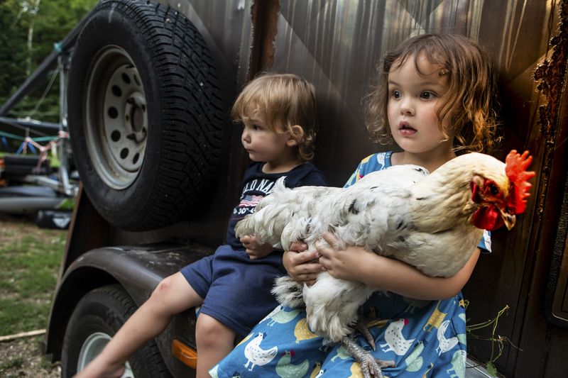 © Barbara Peacock - Cora and Ollie's backyard