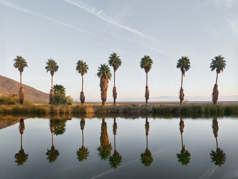 © Matt Portch - Zzyzx Springs, California