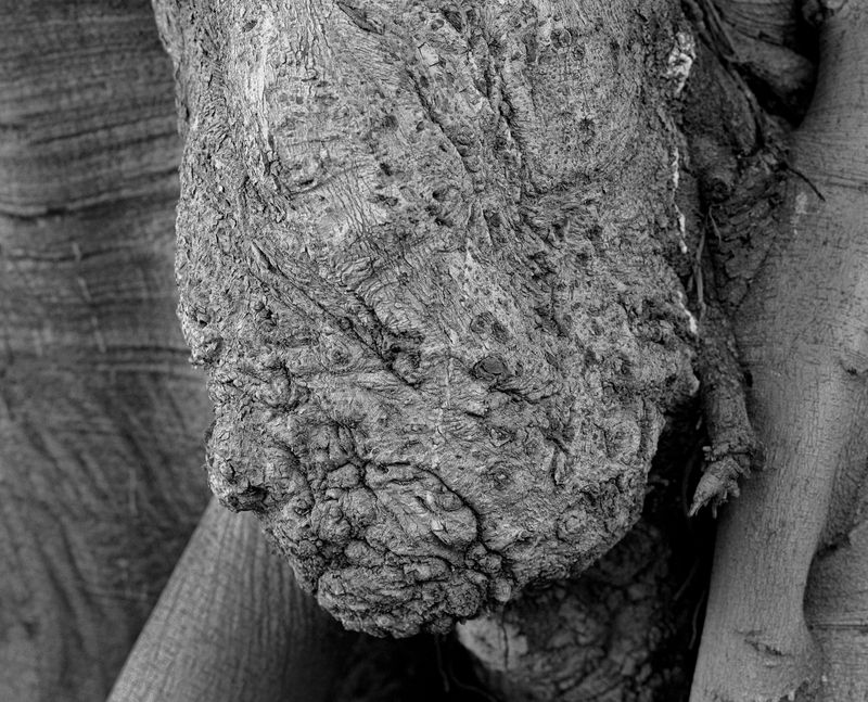 © Filippo Menichetti Martin Errichiello - Image from the in fourth person photography project